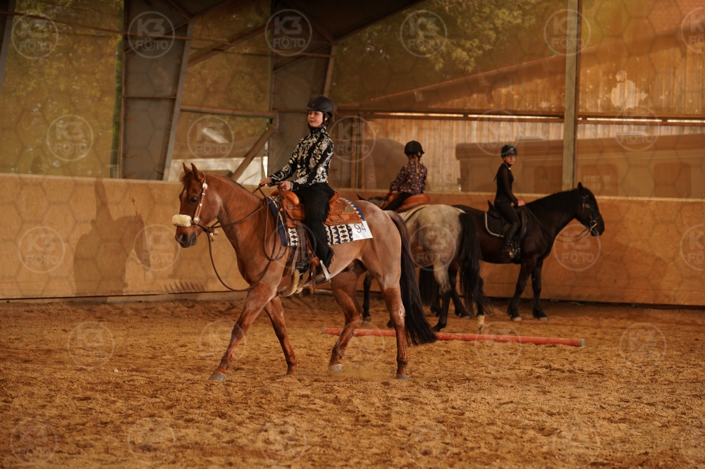 s_A9_01835.jpg